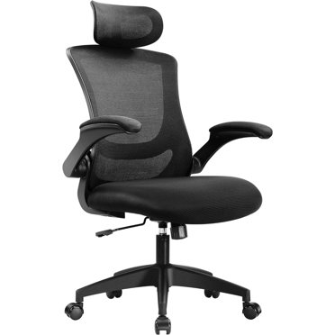 Ergonomic chair 1